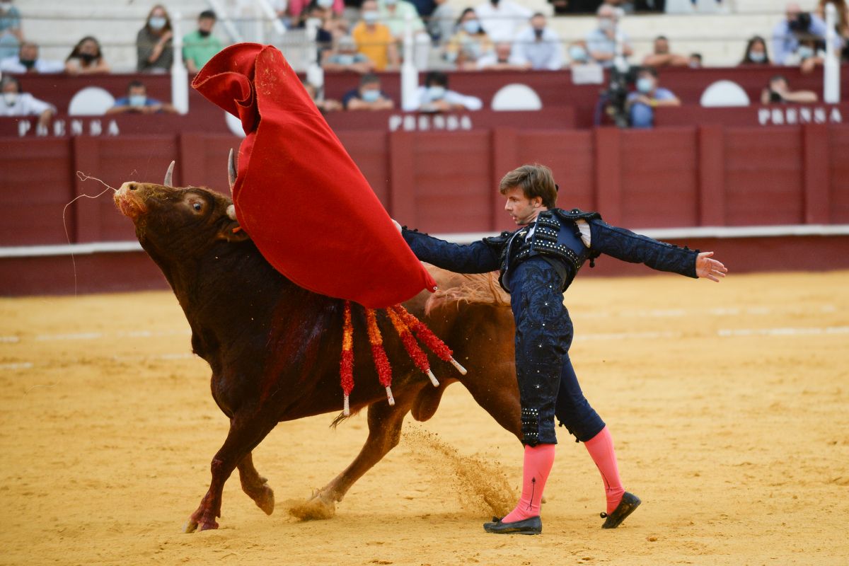 Las imágenes de la novillada en La Malagueta de la Feria taurina de Málaga de 2021.