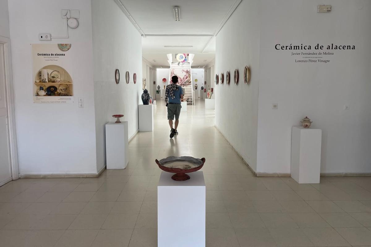 Exposición de Javier Fernández de Molina.