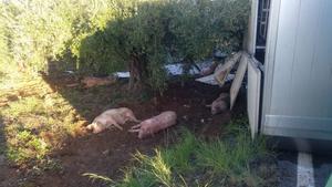 whatsapp-image-2018-11-22-at-091533