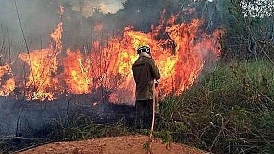 Un bomber combat les flames d&#039;un dels incendis de la zona de l&#039;Amazònia.