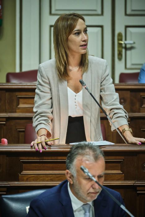 Torres, ante el pleno del Parlamento