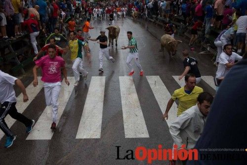 Cuarto encierro Feria del Arroz 2015, Calasparra