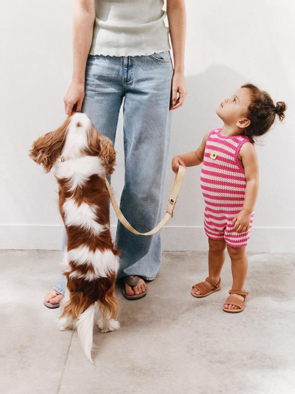 Una de las dos fotos que Zara Kids escogió de la sesión que le hizo a la perrita Minnie en Arteixo.