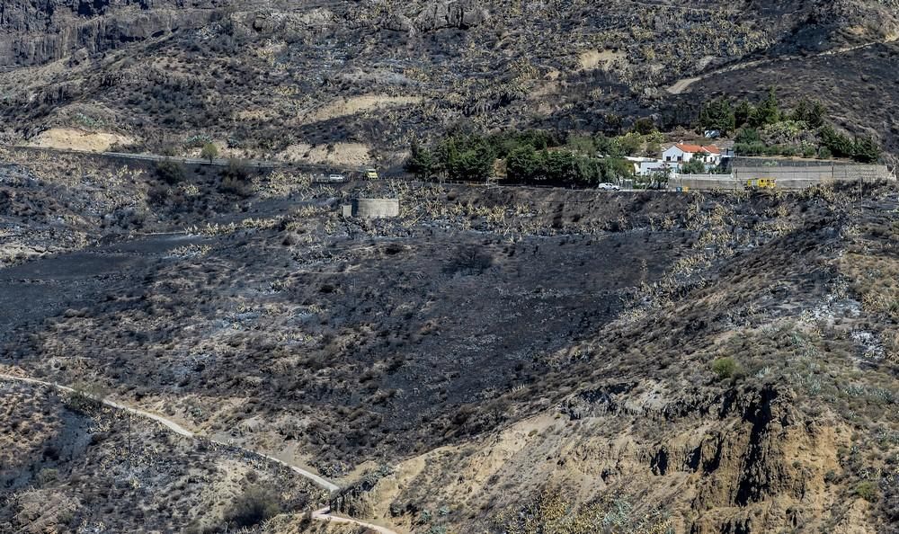 Tejeda tras el incendio