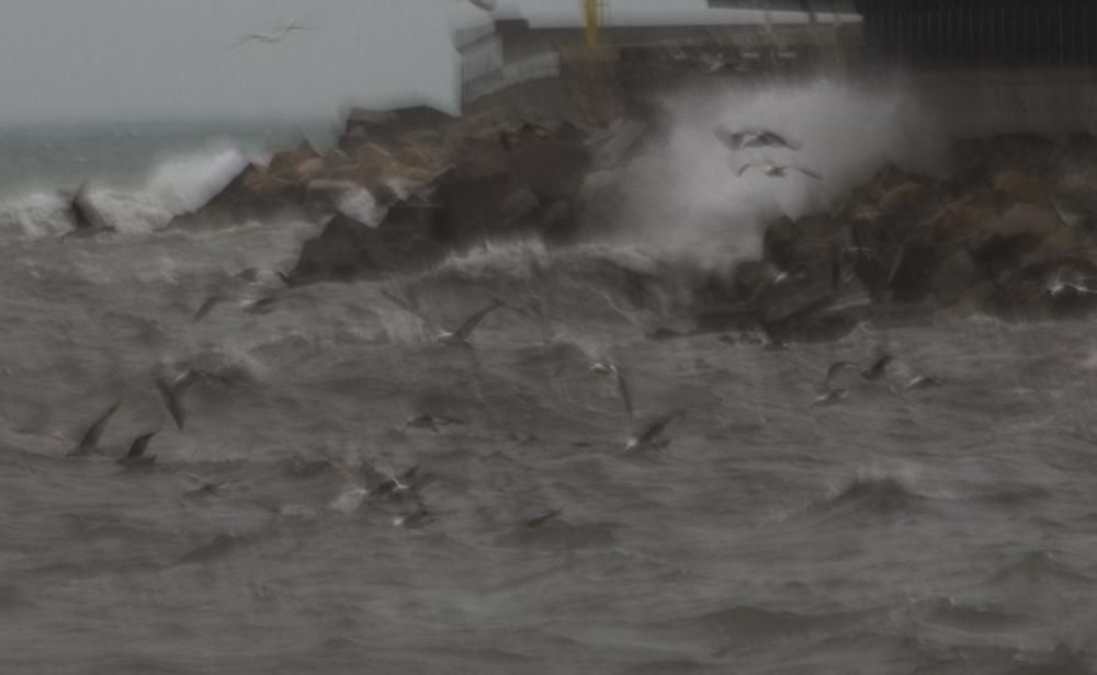 Imágenes del temporal de lluvia y viento en la playa del Postiguet en Alicante.