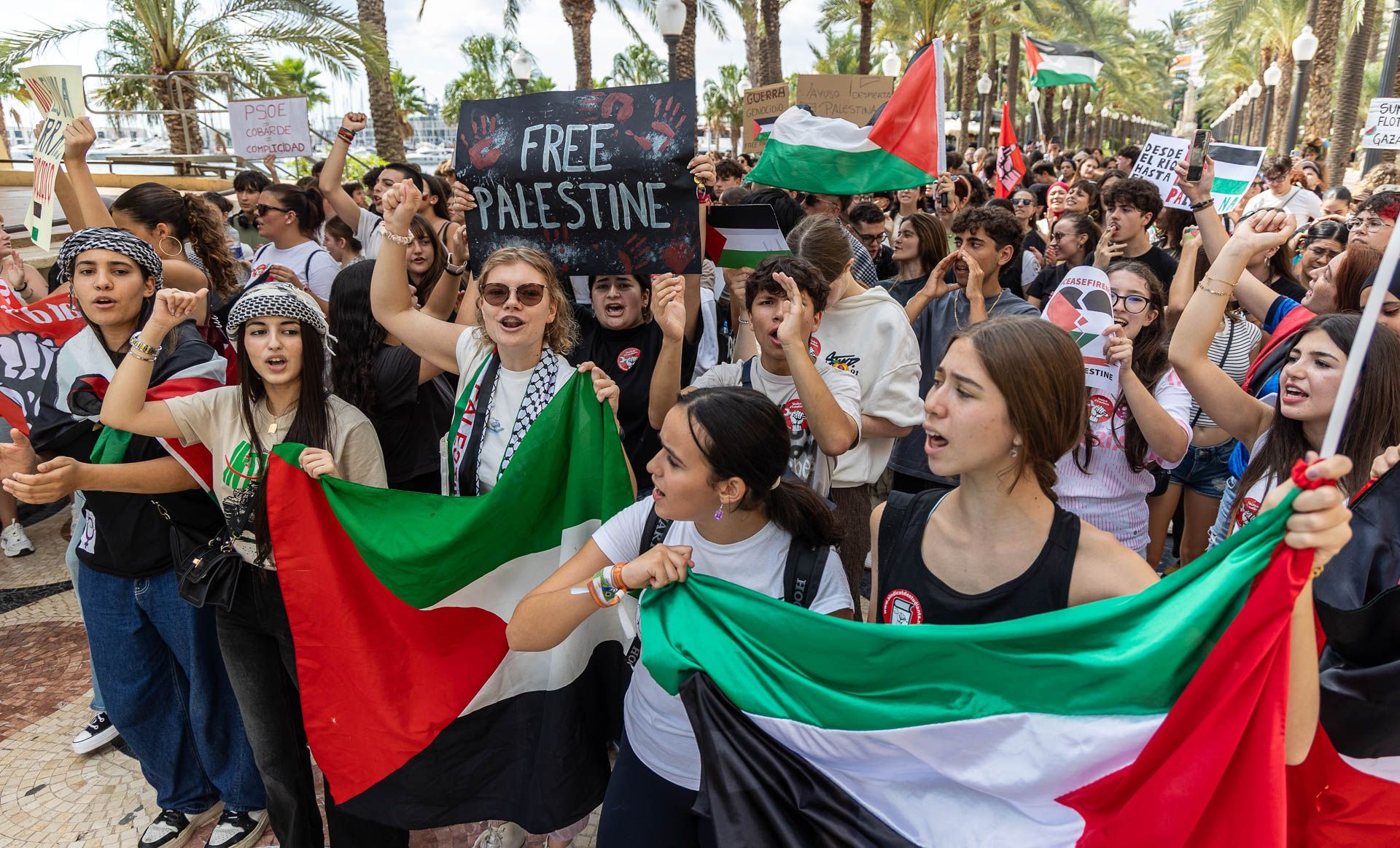 Estudiantes en defensa de Palestina por las calles de Alicante