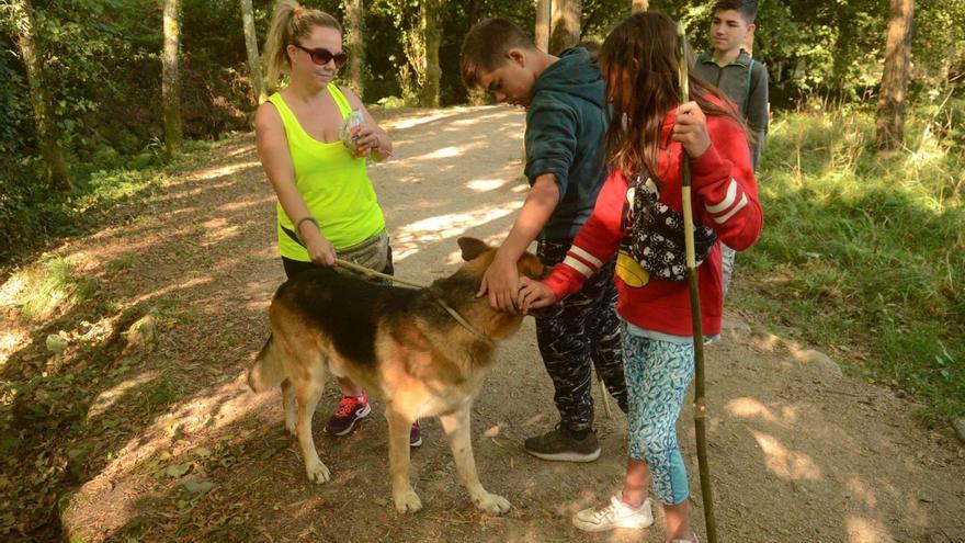 Más de un centenar de locales hosteleros se suman a la apuesta “petfriendly” de O Salnés