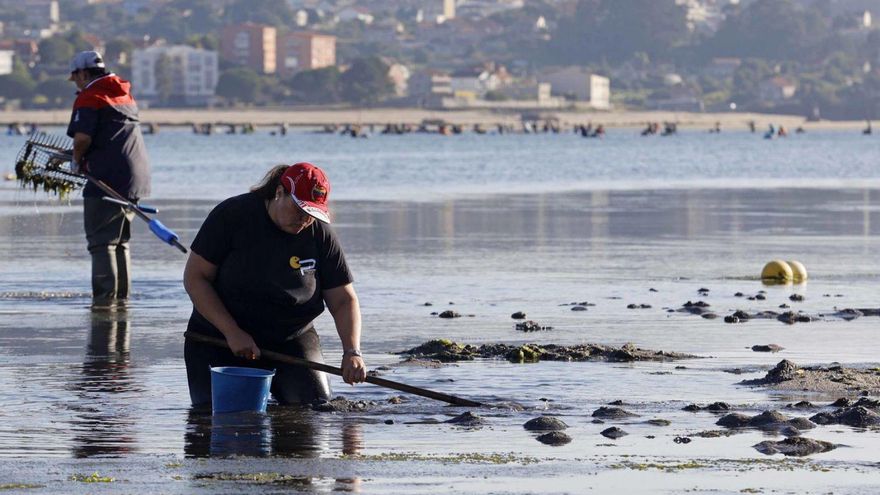 Dos mariscadores recogen ayer almeja en uno de los bancos del fondo de la ría. | // PABLO HERNÁNDEZ