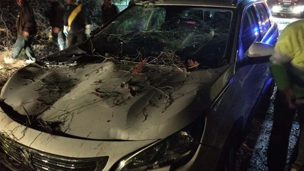 Ilesos una mujer y tres ninos tras caer un arbol sobre su coche en Jete