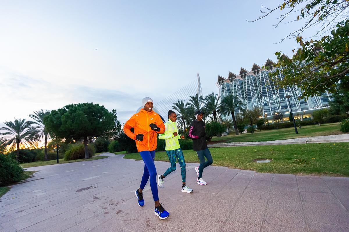 Entrenamiento de los élite en Valencia