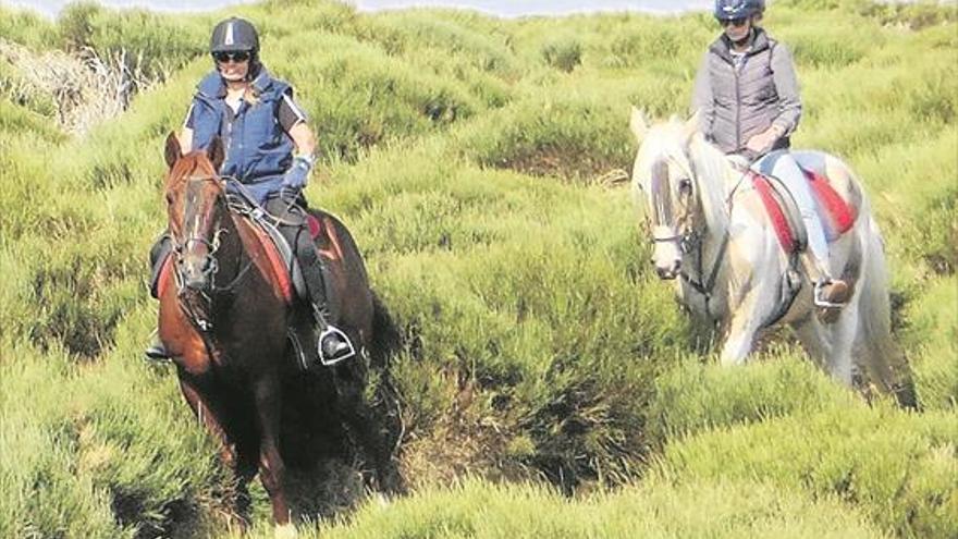 Pozoblanco intenta captar futuros visitantes a través del turismo ecuestre