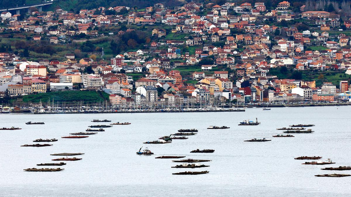 Vigo, unha cidade aberta ao mundo: vista da ría de Vigo.