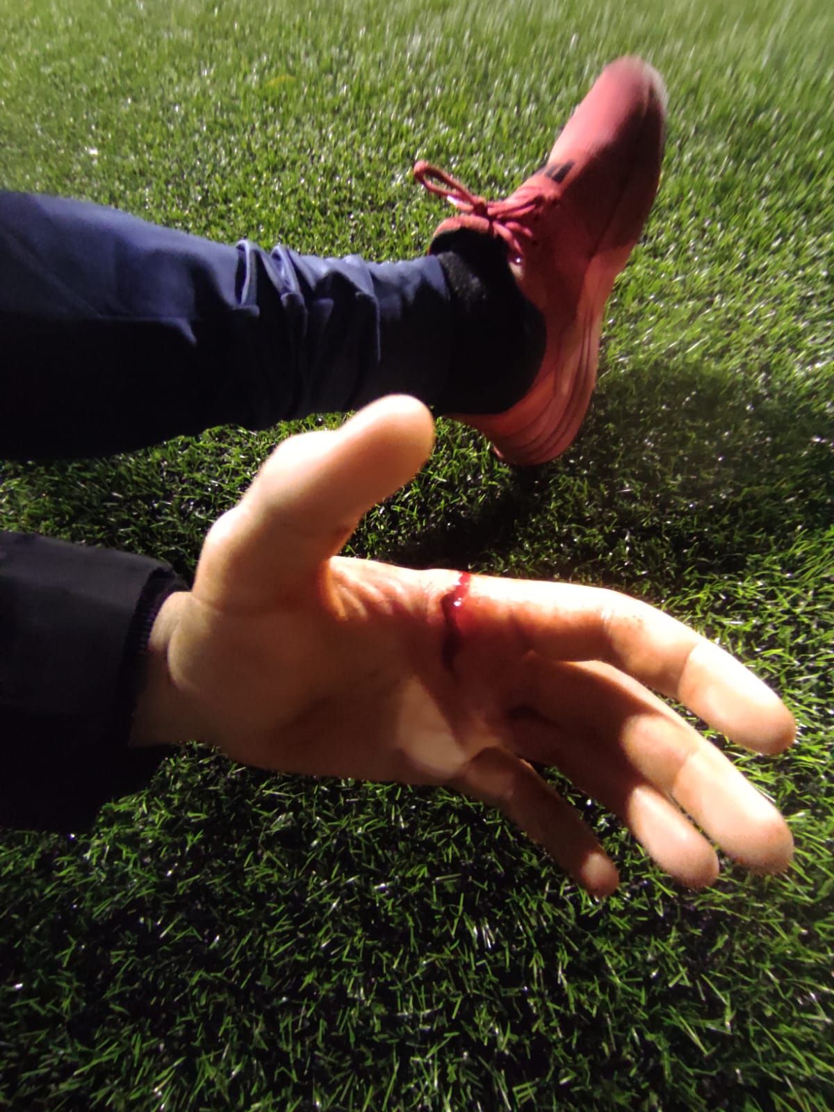 WhatsApp Image 2023-01-28 at 22.14.17.jpeg