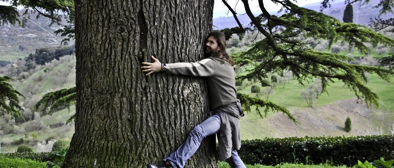 La costumbre de abrazar árboles, cada vez más extendida