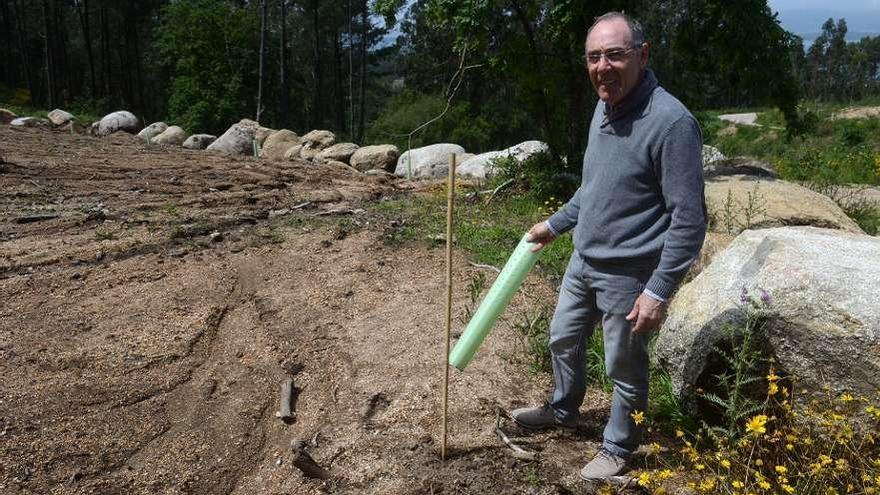 Manuel Barcala, presidente de los comuneros de Sobrán, donde robaron los árboles. // Noé Parga