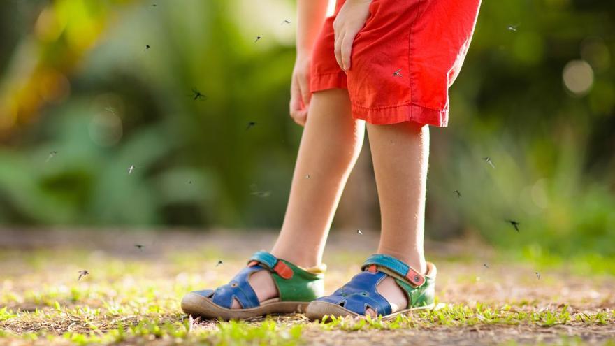 Si sueles vestir estos colores, serás una diana para los mosquitos