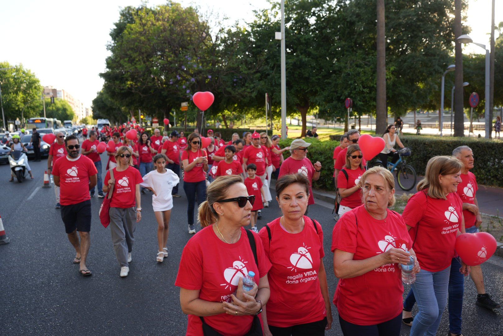 La marcha por la donación de órganos, en imágenes