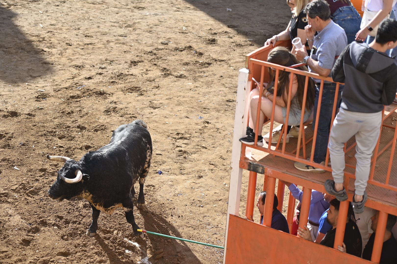 Galería | Primera tarde de toros en Almassora