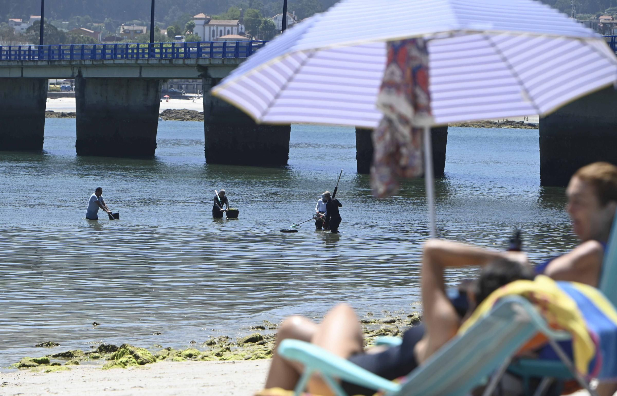 Lección de marisqueo para bañistas