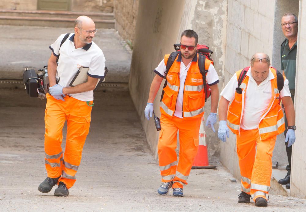 Así fue la llegada de Conchi y su cuidador a los juzgados de Alicante