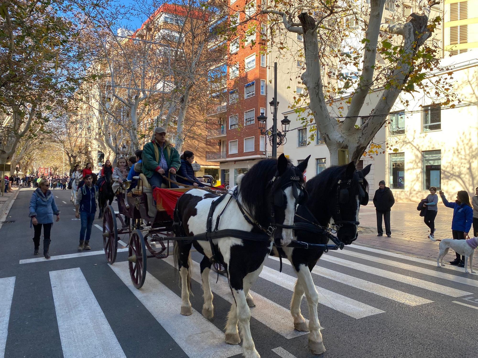 Búscate en la bendición de animales por Sant Antoni coordinada en Xàtiva