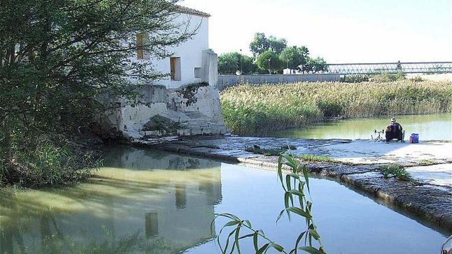 Una imagen del río Segura, el pasado mes de noviembre a su paso por Formentera del Segura con un pescador al fondo