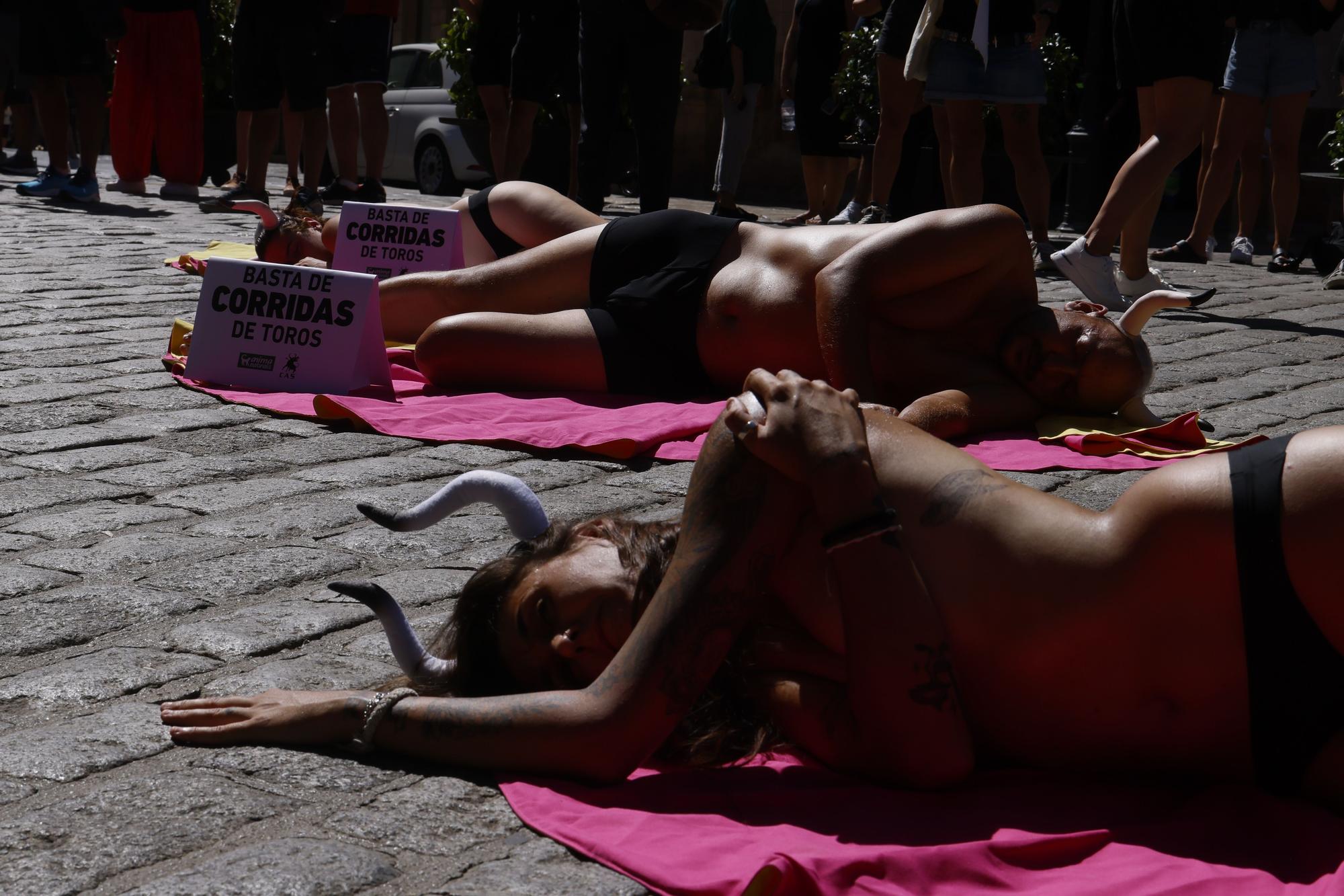 FOTOS | Activistas antitaurinos protestan en Palma contra las corridas de toros