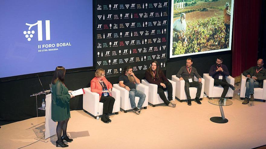 La historia y el terruño, aliados de la Bobal en el ámbito internacional