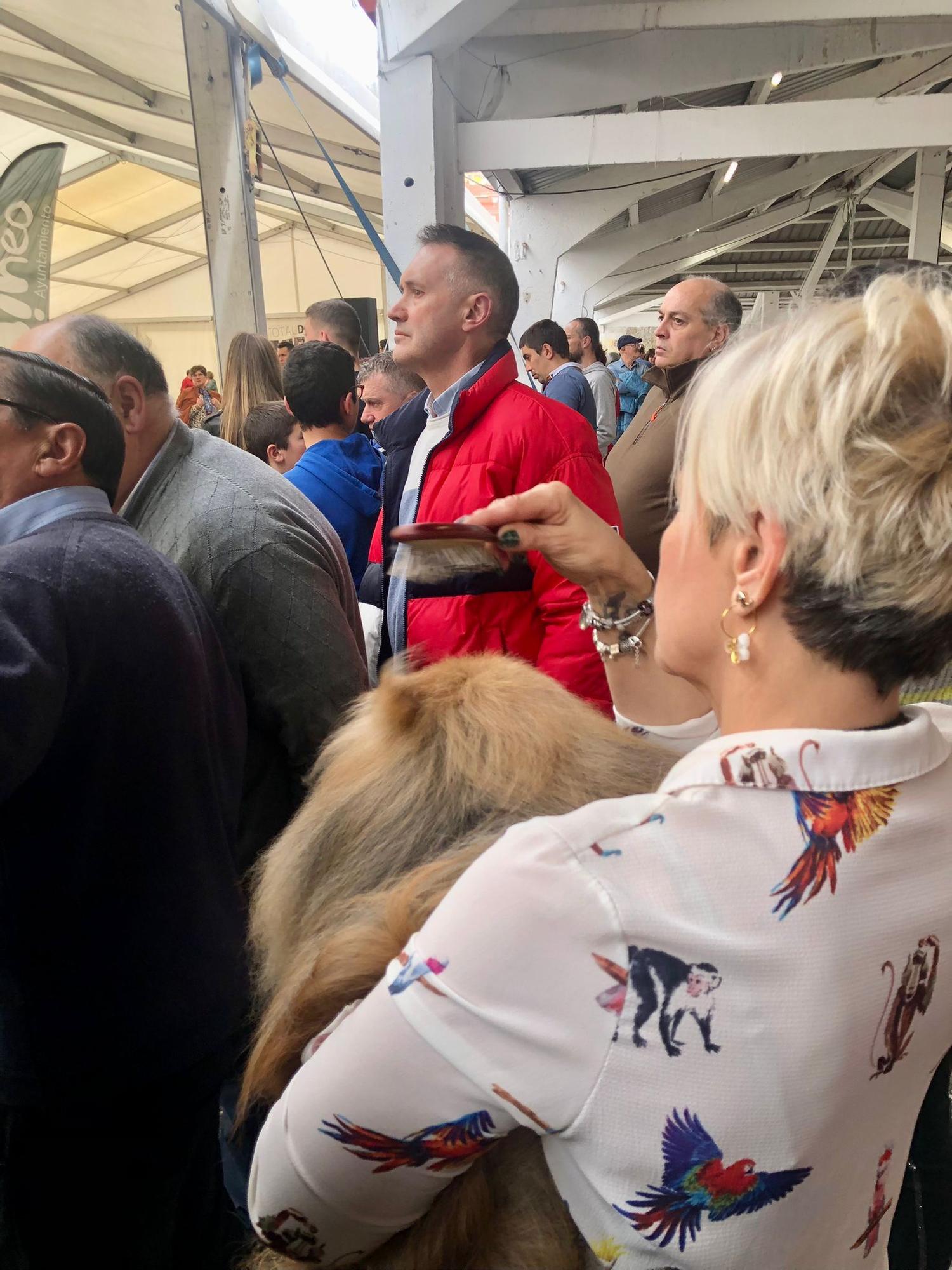 Éxito de público y animales en la 28ª Feria del Perro de Tineo