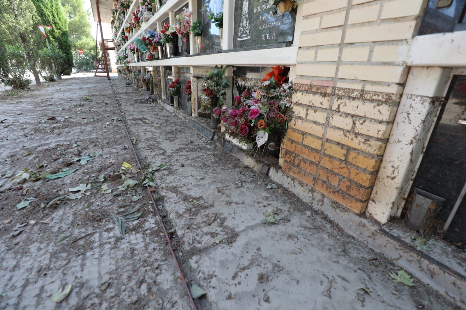 Fotogalería | Grandes daños en el cementerio de Torrero por la tormenta del jueves