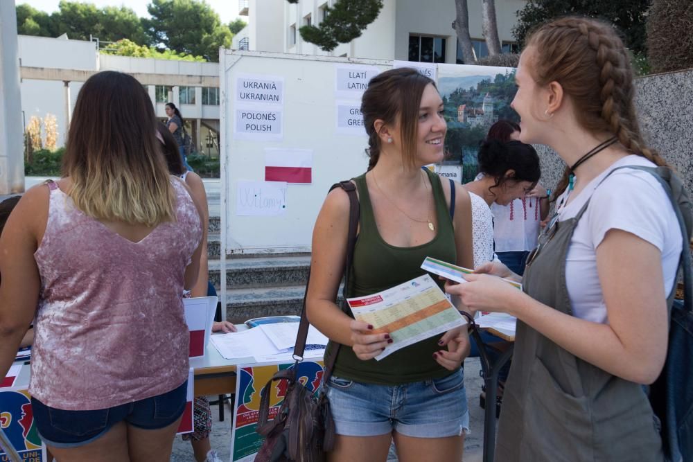 12 campanadas o comida vegana en foodtrucks para dar la Bienvenida a la UA