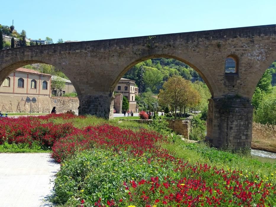 Obrir camí a la zona enjardinada sota la tercera arcada del Pont Vell