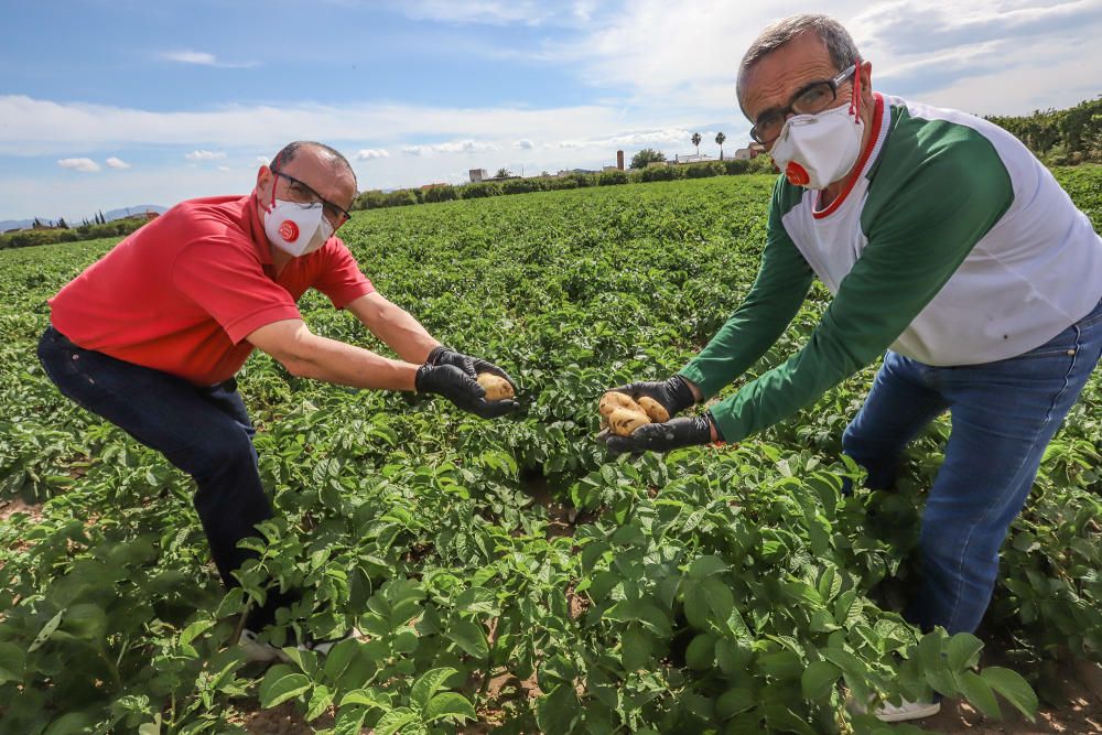 Agricultores y mercaderes venden a domicilio el género que cultivan y que compran tras la suspensión de la venta ambulante, que tiene previsto su reanudación desde el 30 de abril