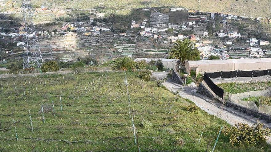 La finca El Viso.