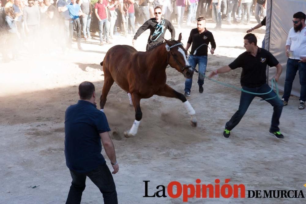 Día uno de mayo, entrada de caballos al Hoyo