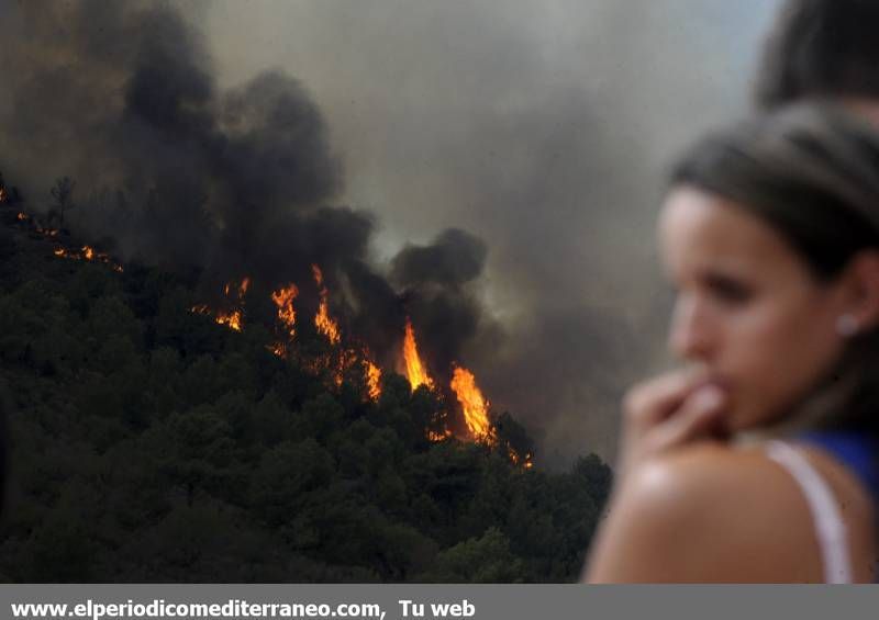 GALERIA DE IMÁGENES  - INCENDIO FORESTAL EN LA VALL