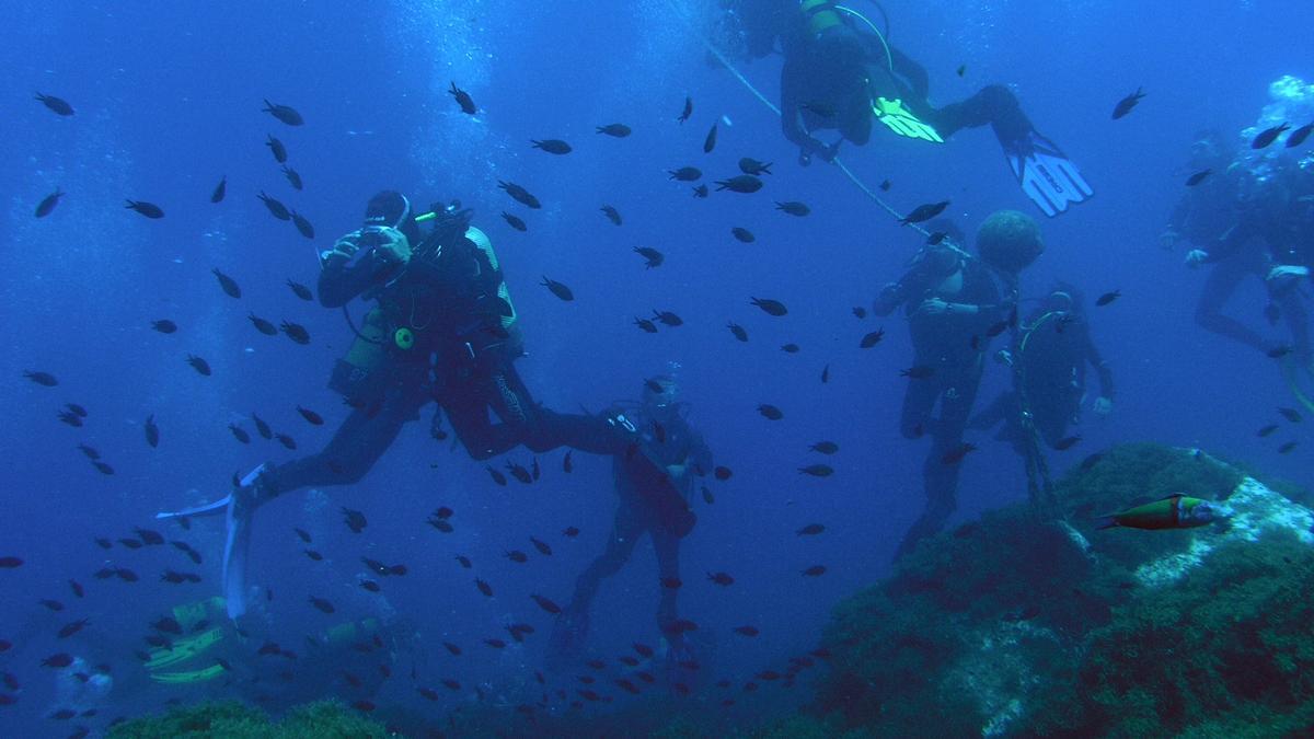 Buceadores en la reserva marina de Islas Hormigas