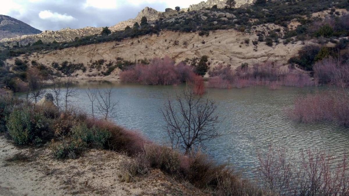 Humedales de Valdemanco.