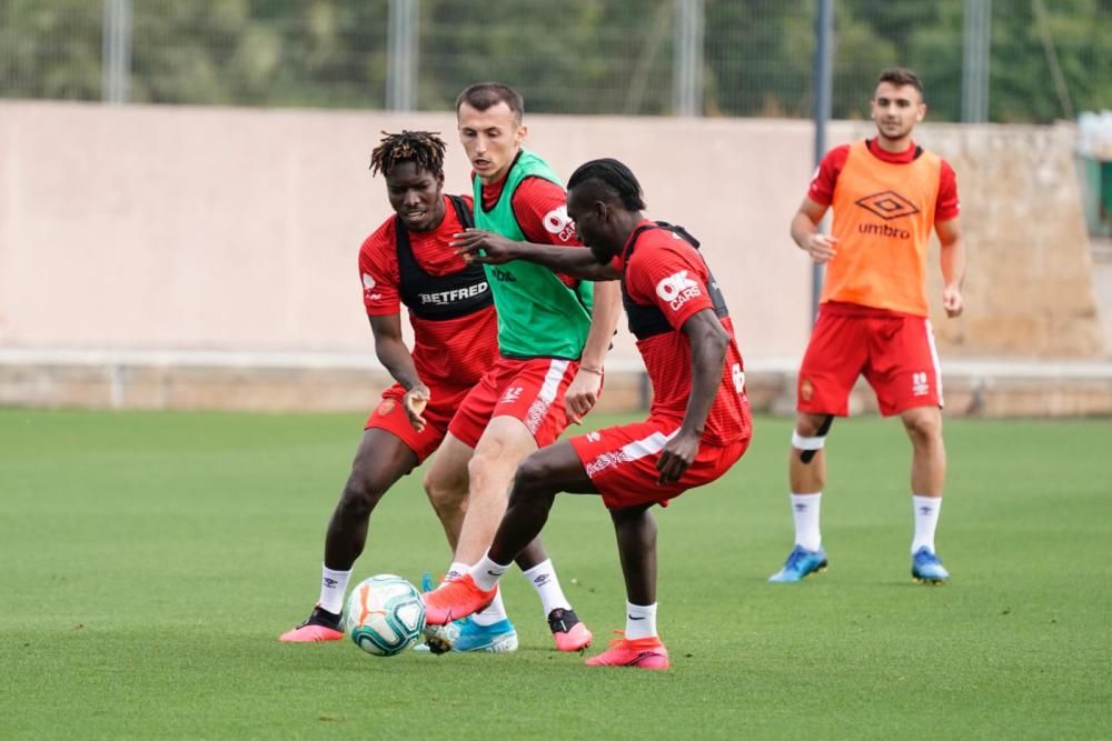 Entrenamiento del Malloca en Son Bibiloni