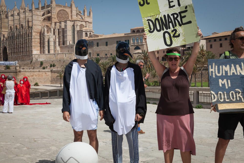 Corte de carretera en Palma contra el cambio climático