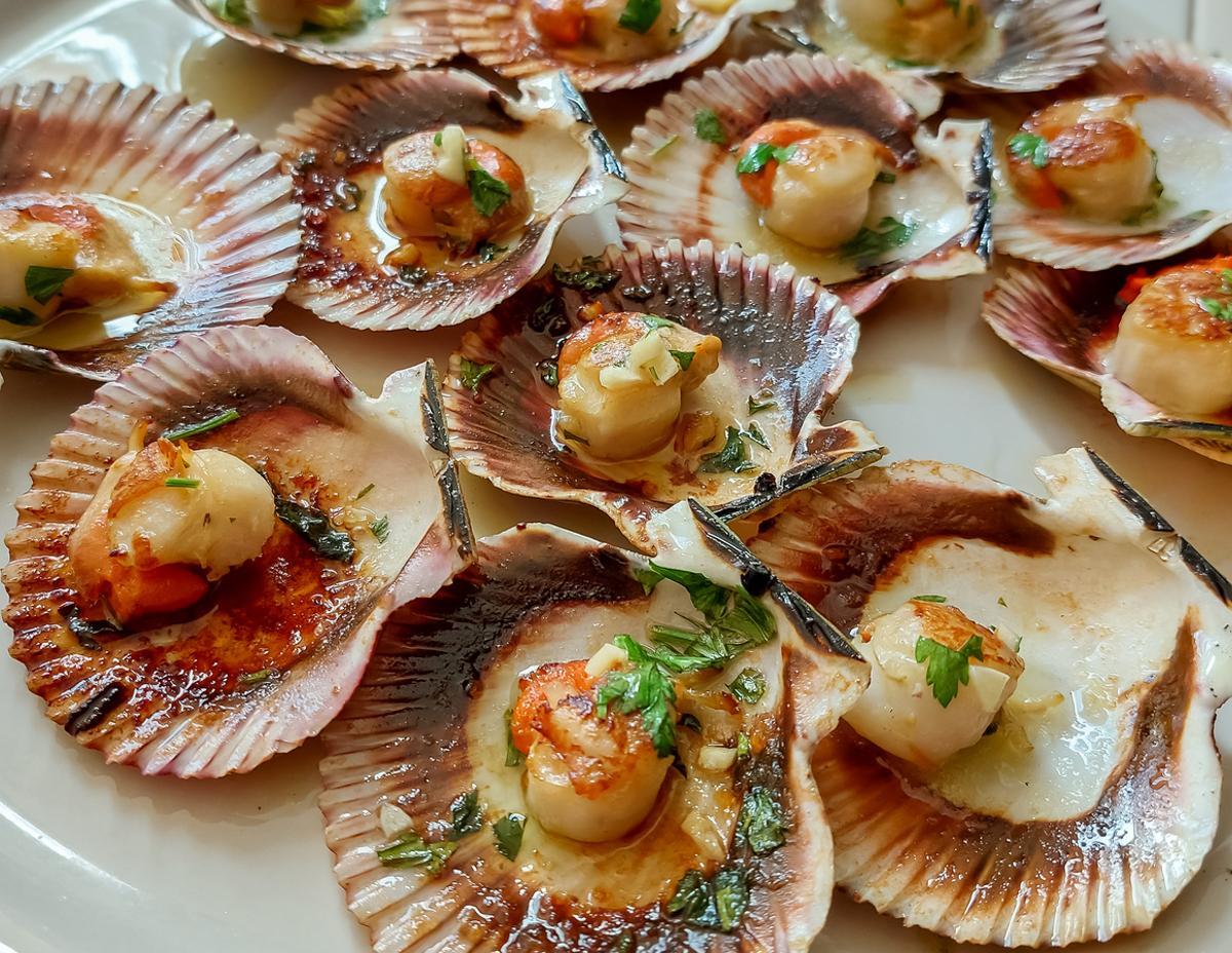 Plato de vieiras.