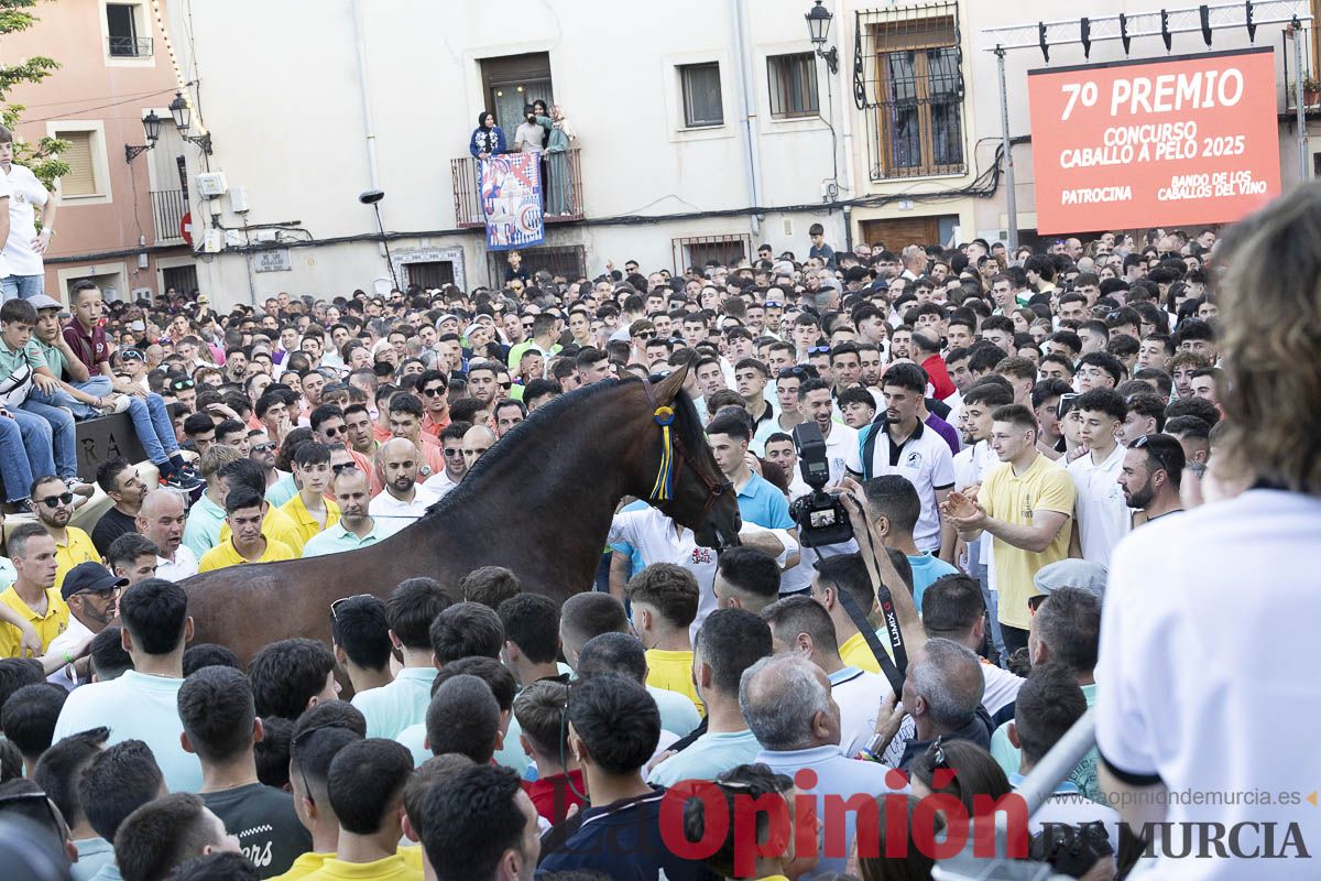 Fiestas de Caravaca | Entrega de premios del concurso morfológico