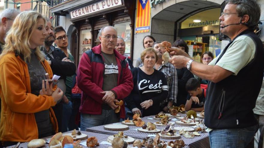 La fira inclou demostracions, degustacions i concursos.