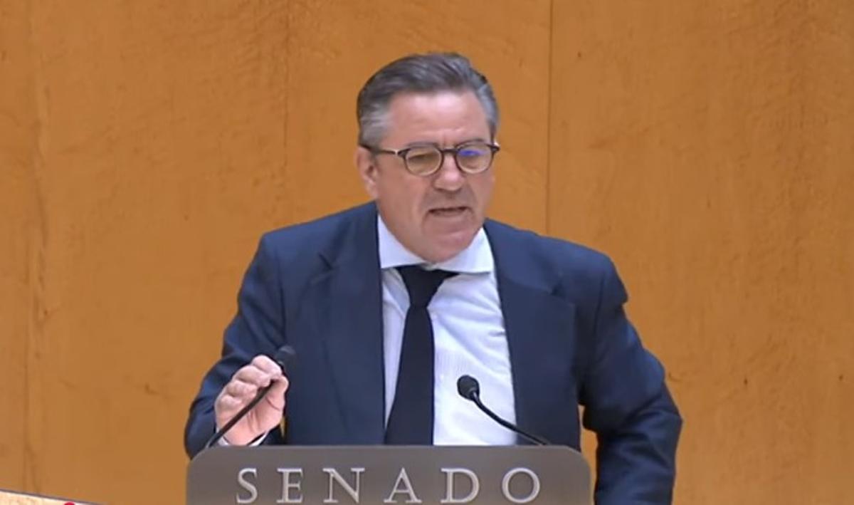 El senador del PP Miquel Jerez, durante su intervención en el pleno del Senado.