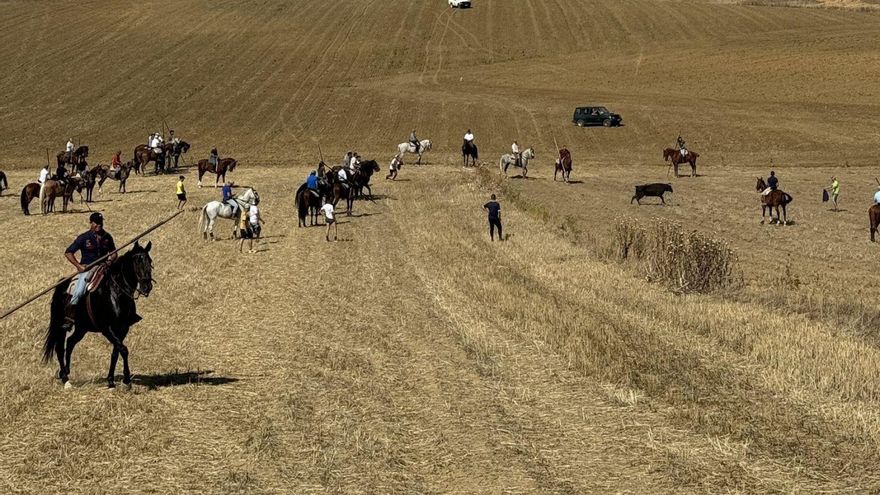 A lo campero, en Toro