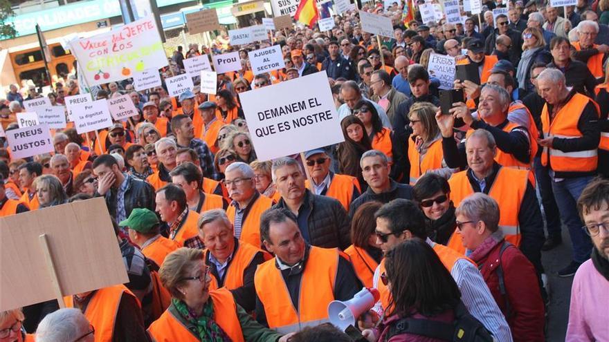 Crean la asociación que gestionará la marca de calidad de la clemenules