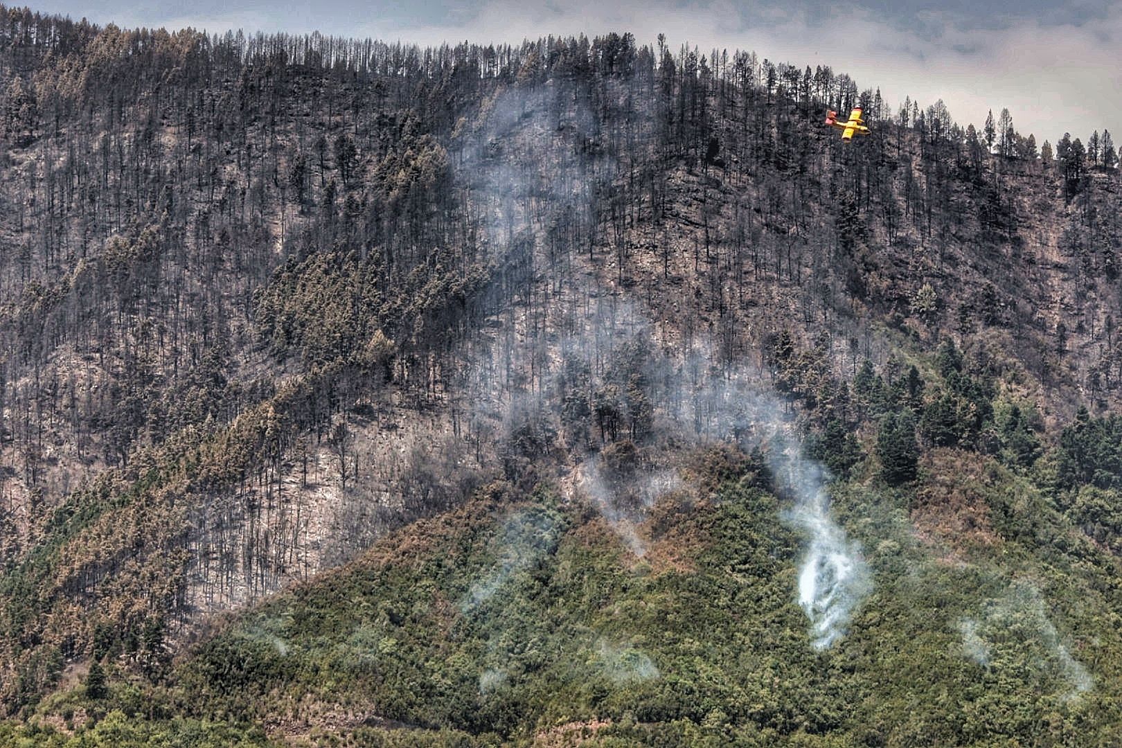 Labores de extinción del incendio en Tigaiga, Tenerife (26/07/2022)