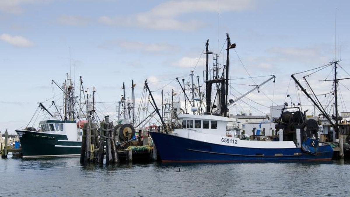 «Make Fishing Great Again»: Trump crea una oficina para resucitar la pesca de Estados Unidos, donde Galicia vende más productos del mar que nunca