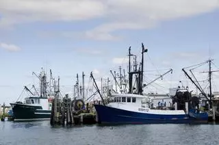 «Make Fishing Great Again»: Trump crea una oficina para resucitar la pesca de Estados Unidos, donde Galicia vende más productos del mar que nunca
