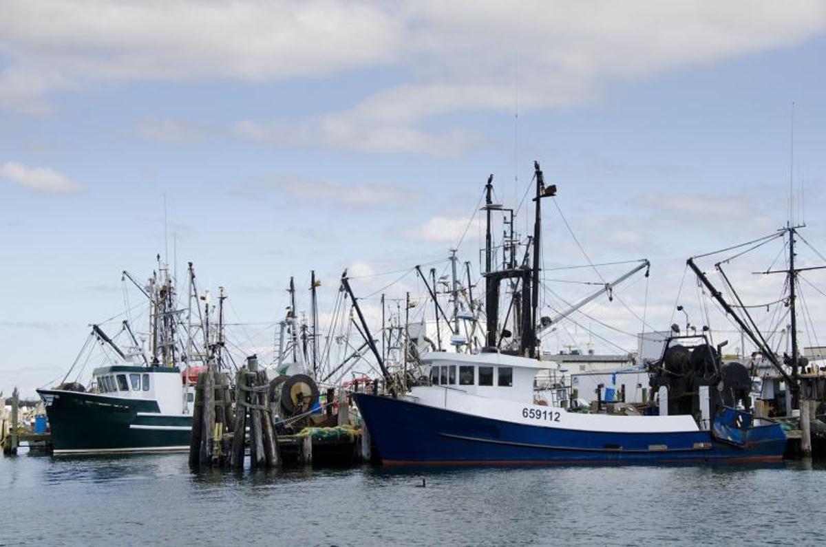 Barcos pesqueros amarrados en el noreste de Estados Unidos.